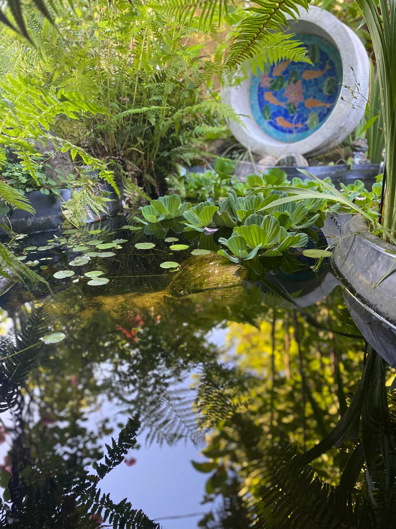 Humble Vegan Home close to Nature, Vegan Restaurants & Local Bus Terminal