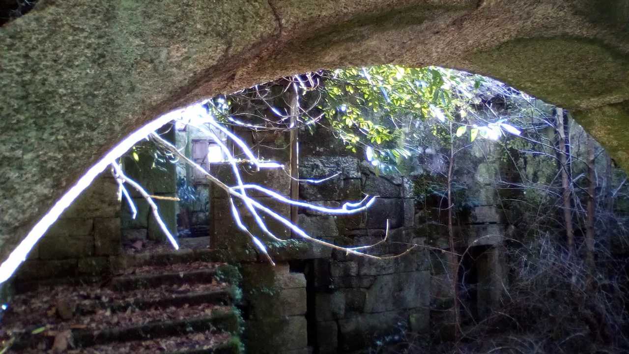 Rural vegan place in the heart of the Galician land