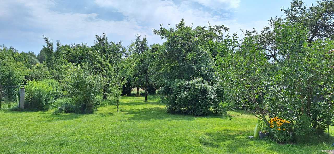 VEGAN OASIS IN THE JURASSIC HIGHLAND (Ostrów, Żarki)