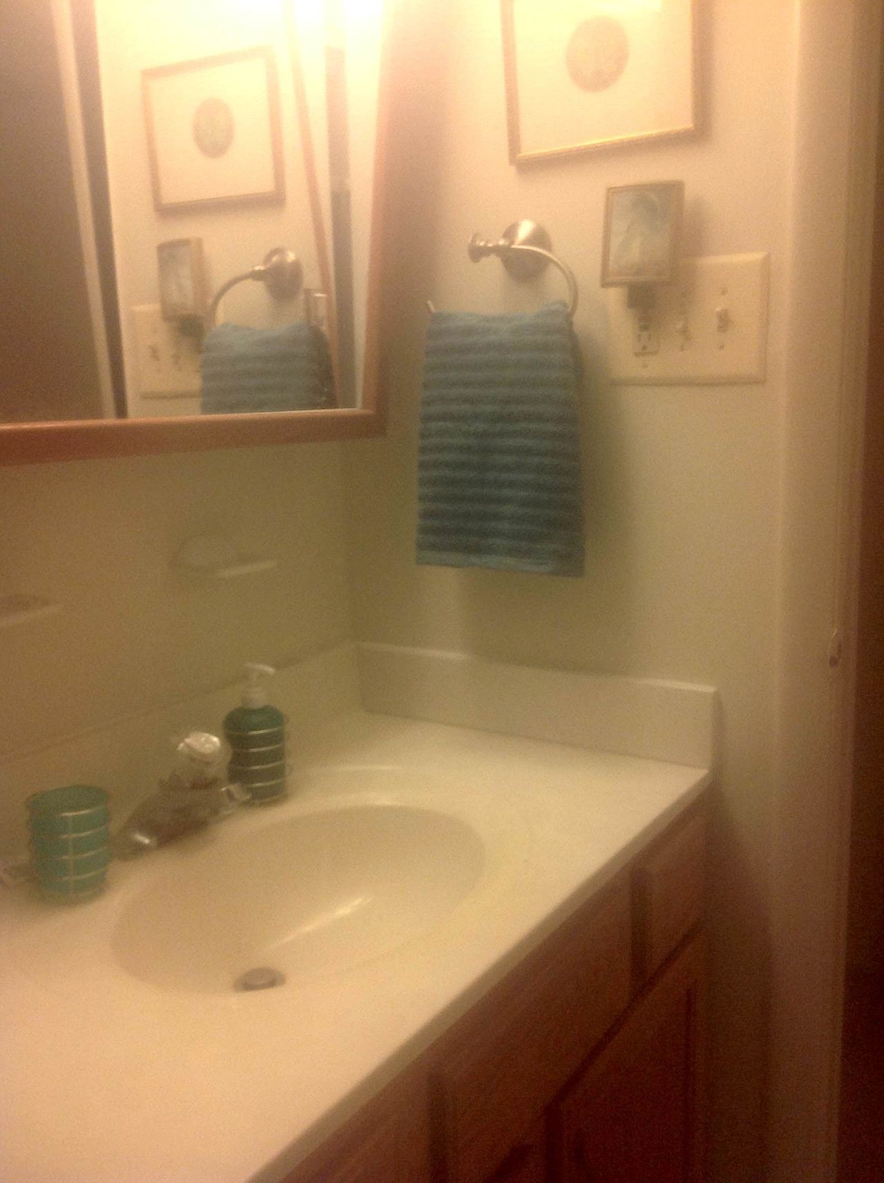 Garden apt with private guest bedroom + full bathroom in large apt.