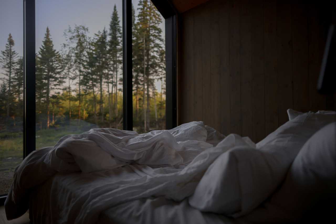 Modern Cabin at Balance Farm