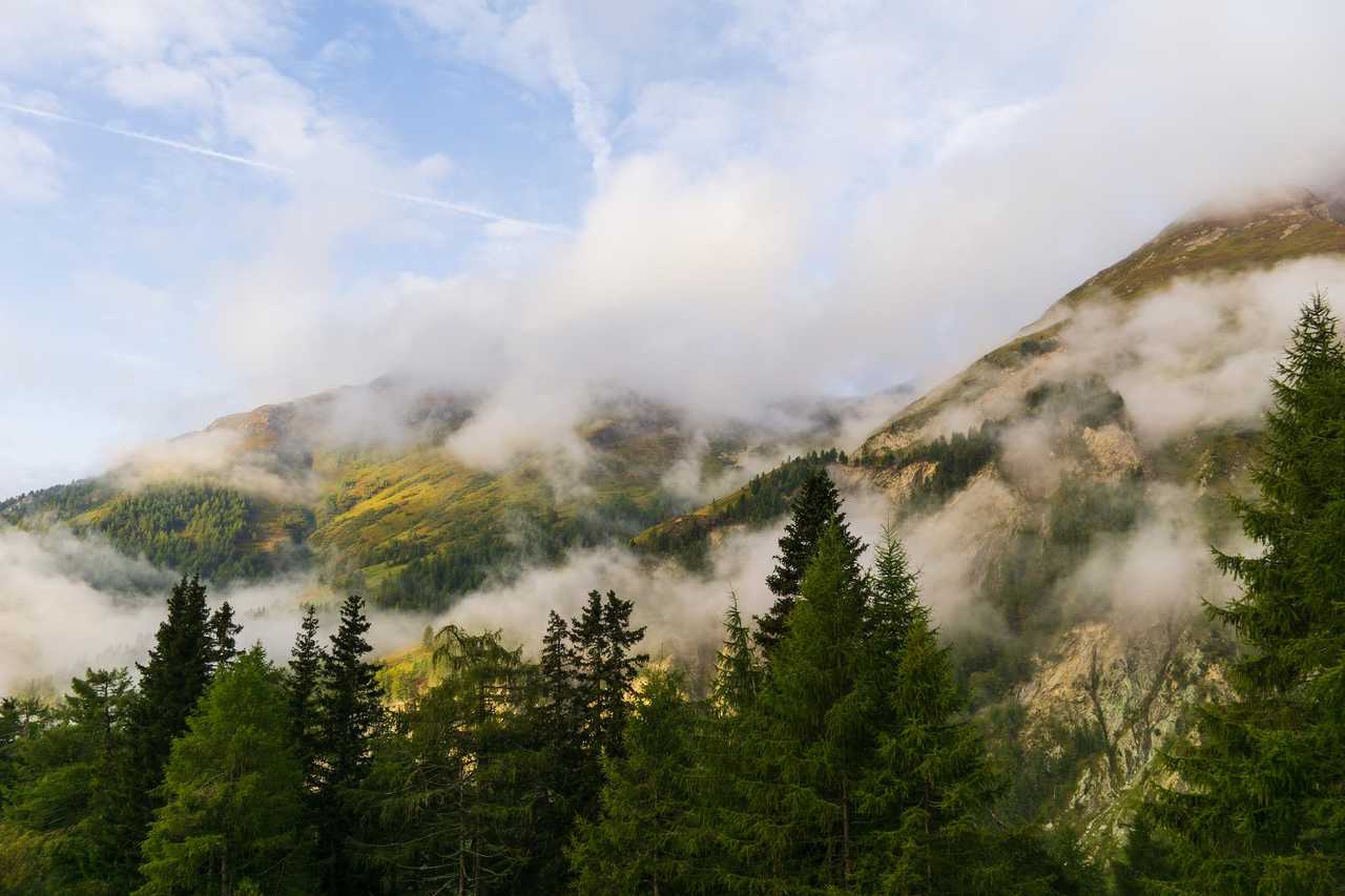 A remote mountain retreat, with daily yoga and guided hikes.