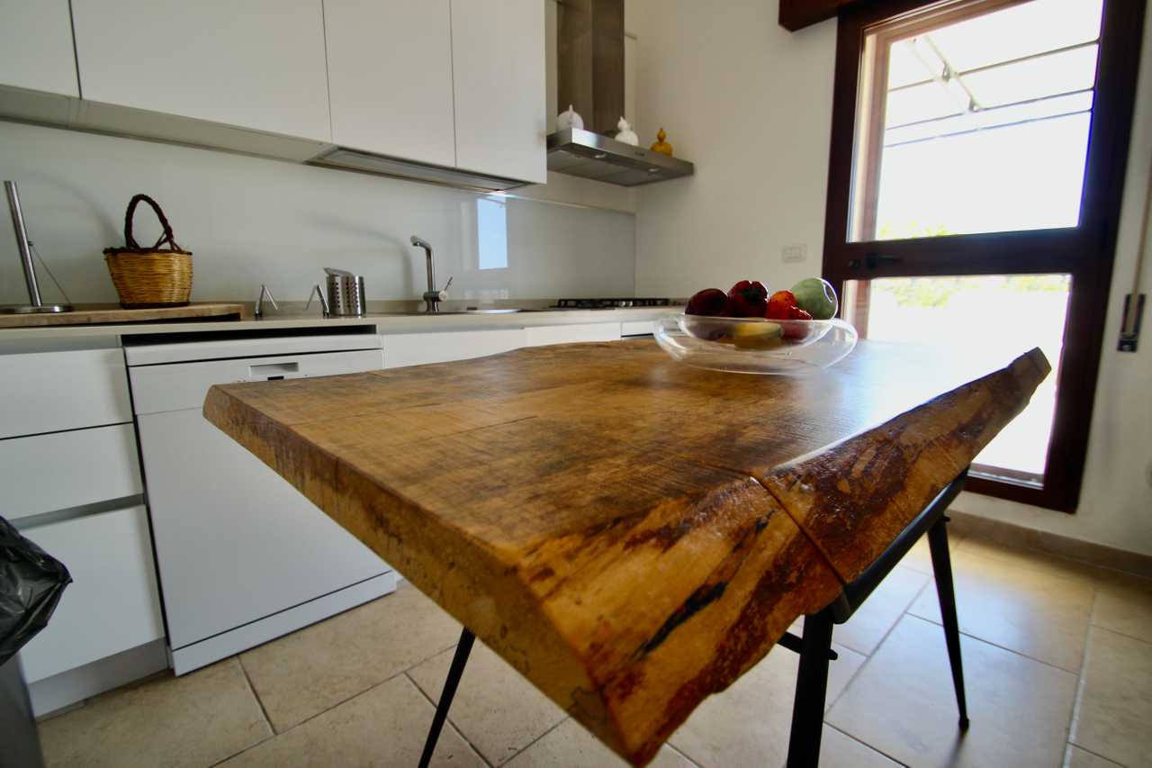 Luxury villa in midst of an ancient olive grove, ideal for families