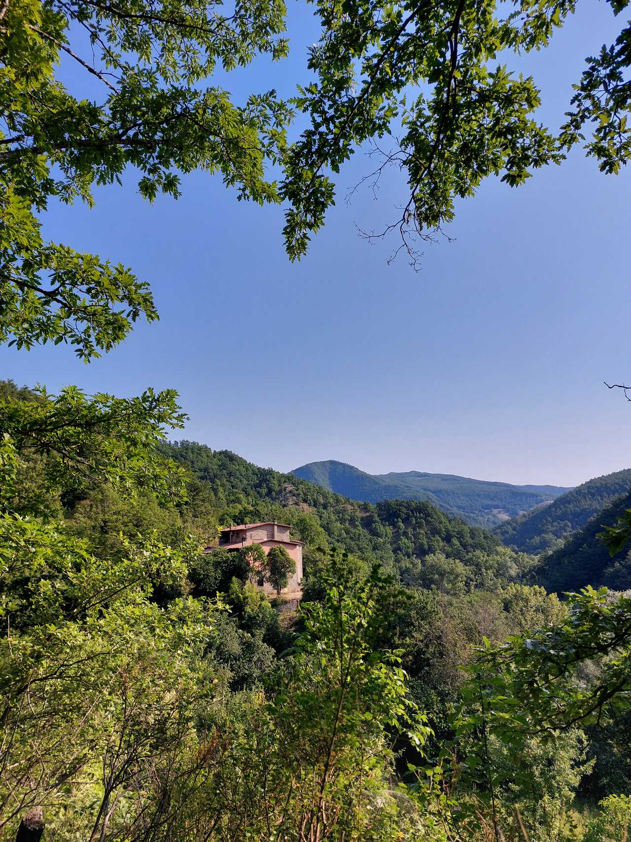 Room with bathroom in vegan b&b immersed in nature, the perfect place to escape