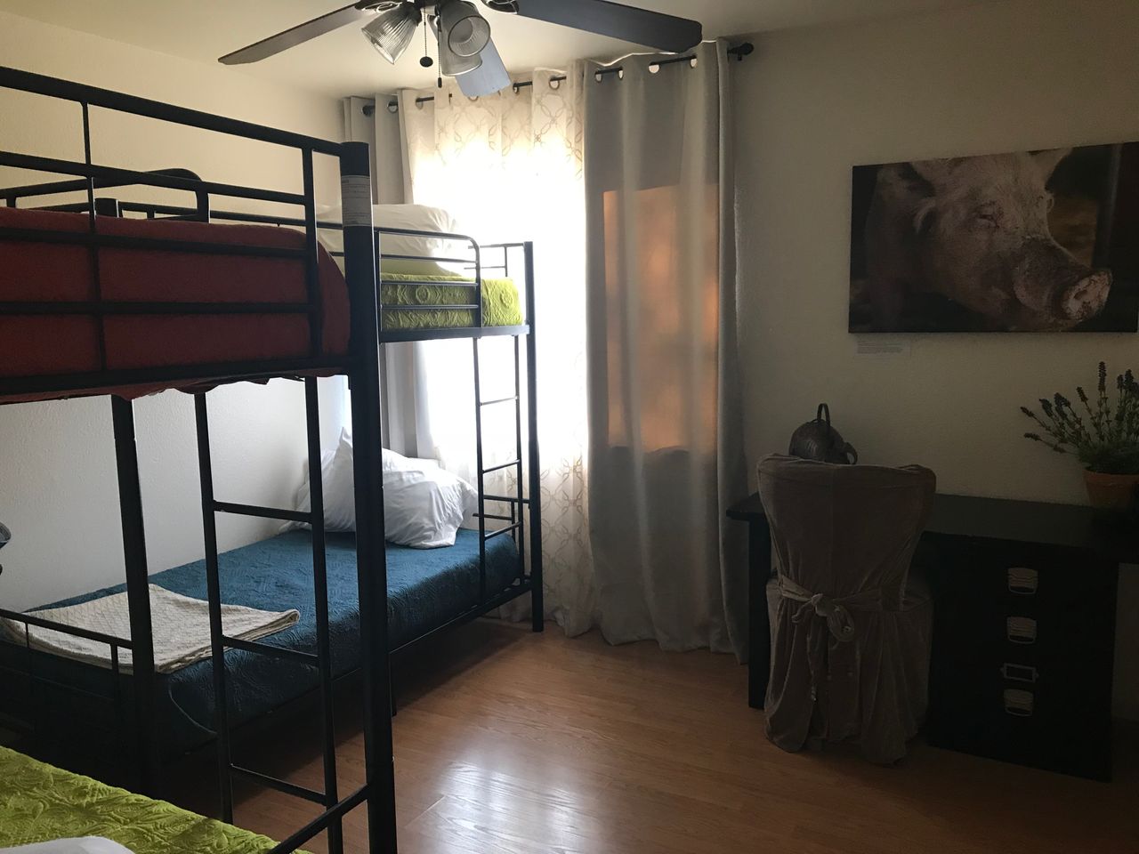 Animal Place's Guest House - Wilbur Room