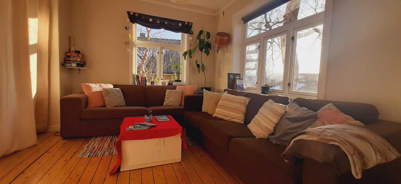 Cozy room with a view!