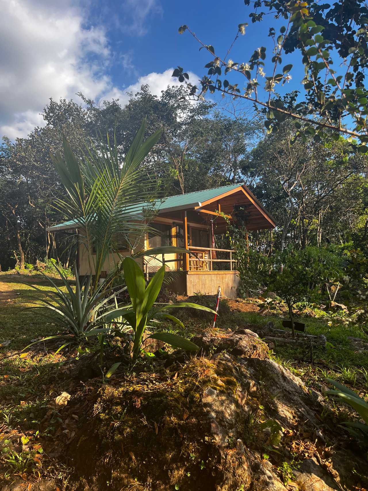 Private cabin in an ecological community surrounded by ecovillages