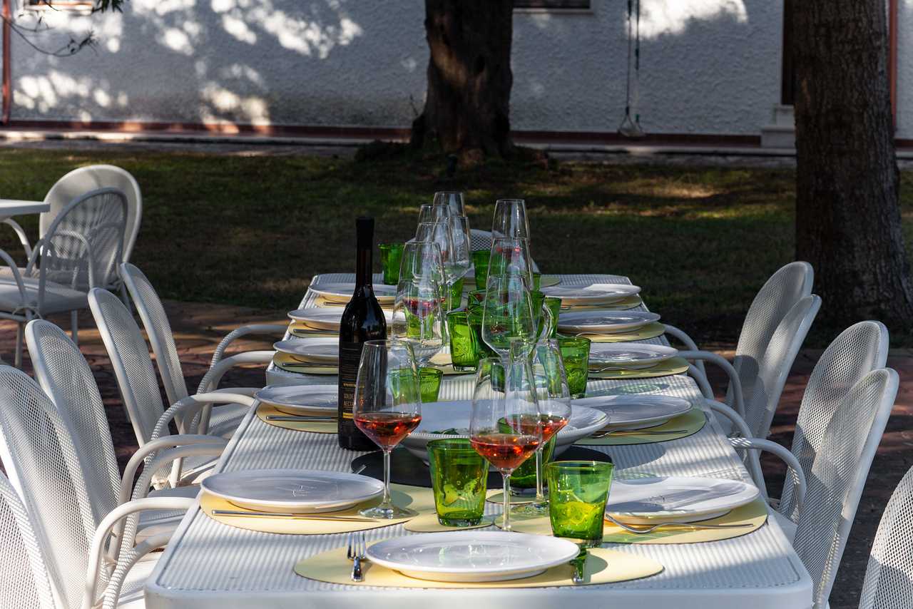 Luxury villa in midst of an ancient olive grove, ideal for families