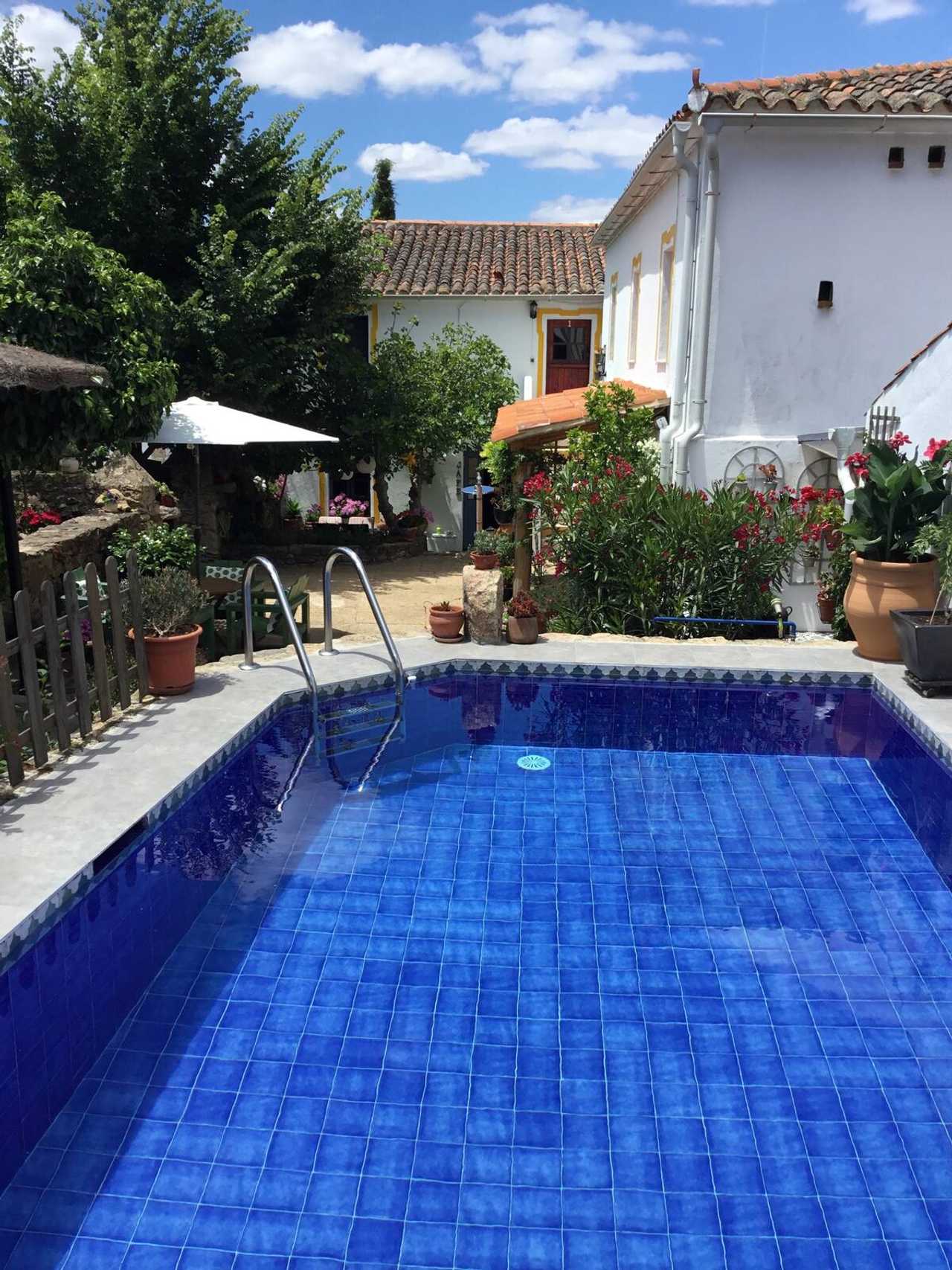 São Mamede Wine Project - Apt Portugal