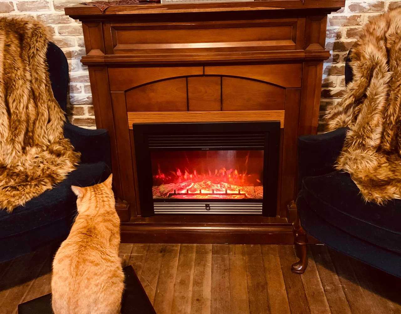 Eco cozy, pet friendly, lakeside home, close to everything!!