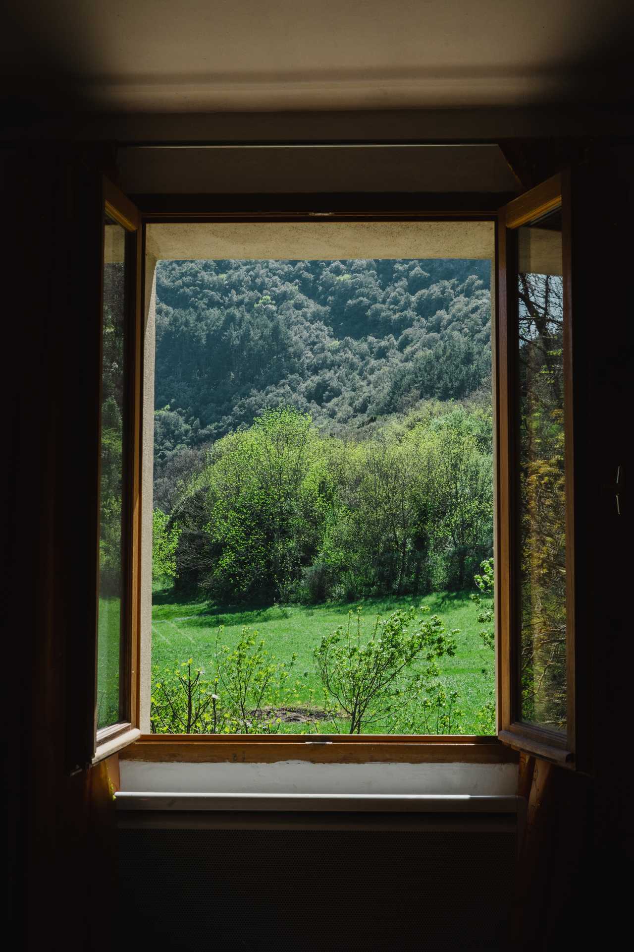Back to Nature at the Mill!