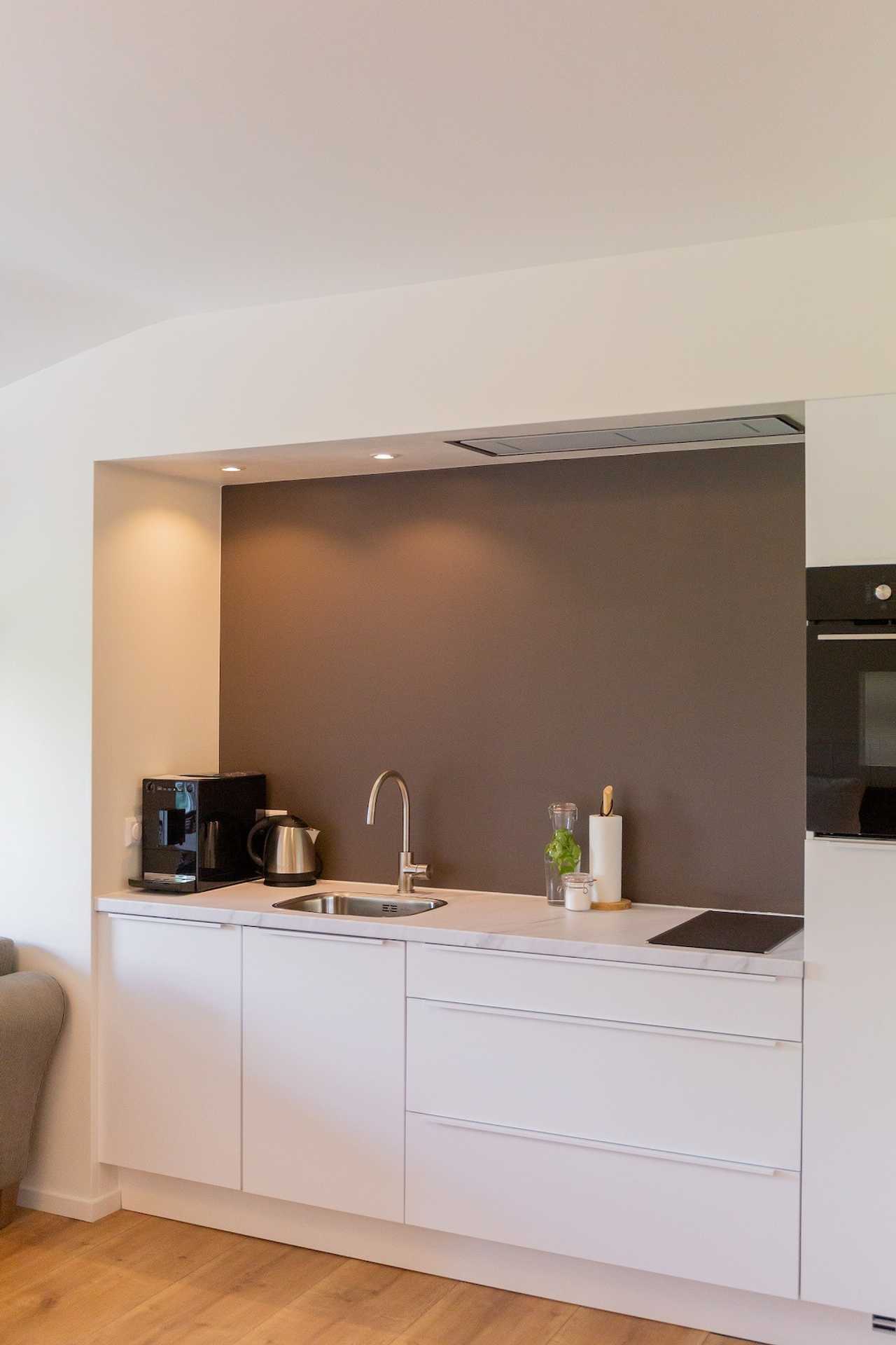 Modern apartments in old farmhouse, Frisian lake district