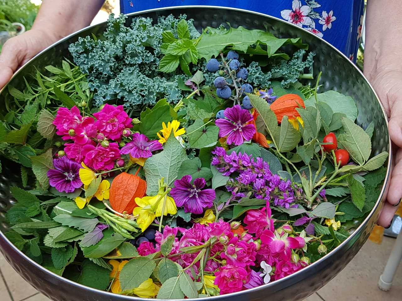 Little Pension at the edge of the Spessart, vegan cooking school          