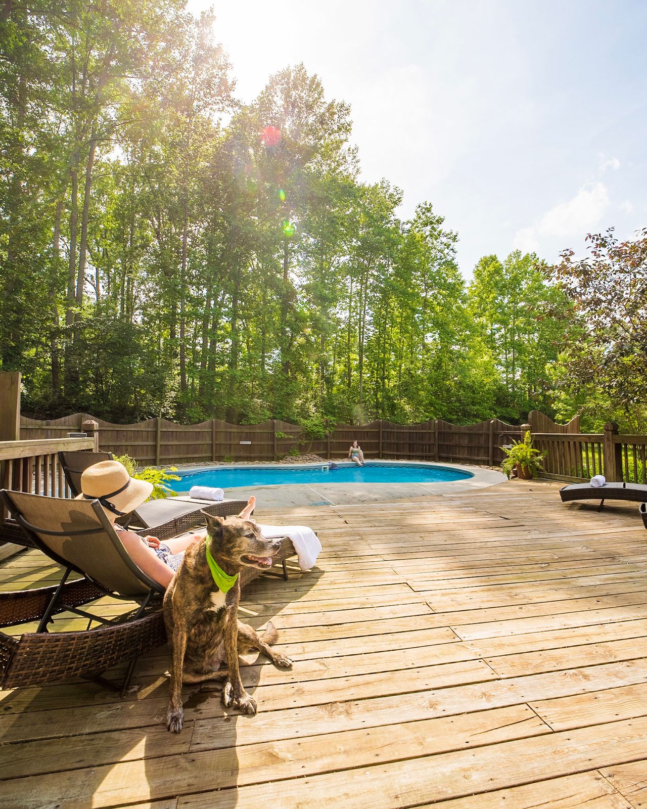 A Cozy Guest Cottage at Grateful Meadows animal sanctuary & vegan retreat center
