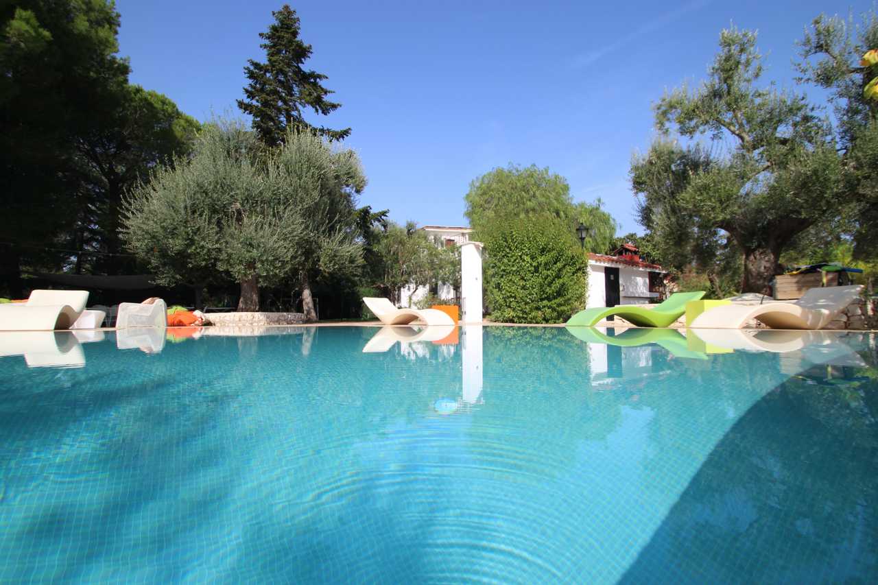 Luxury villa in midst of an ancient olive grove, ideal for families