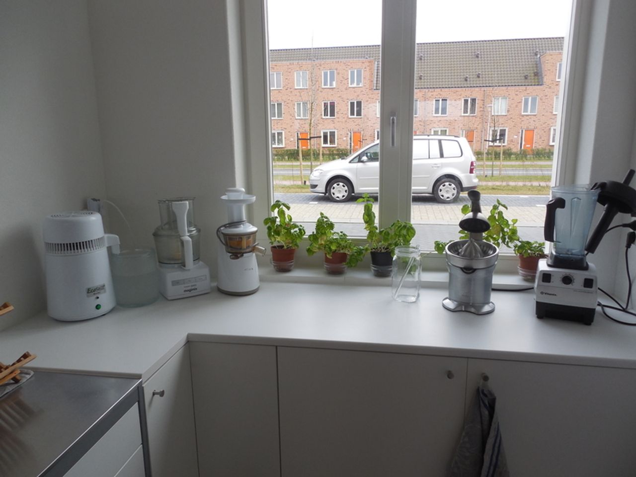 High carb vegan household with two spare rooms near Rotterdam, Netherlands