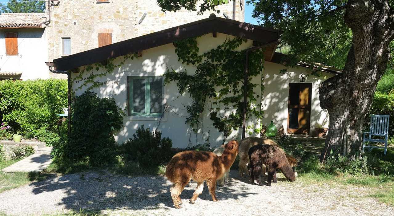 Nelle terre di San Francesco