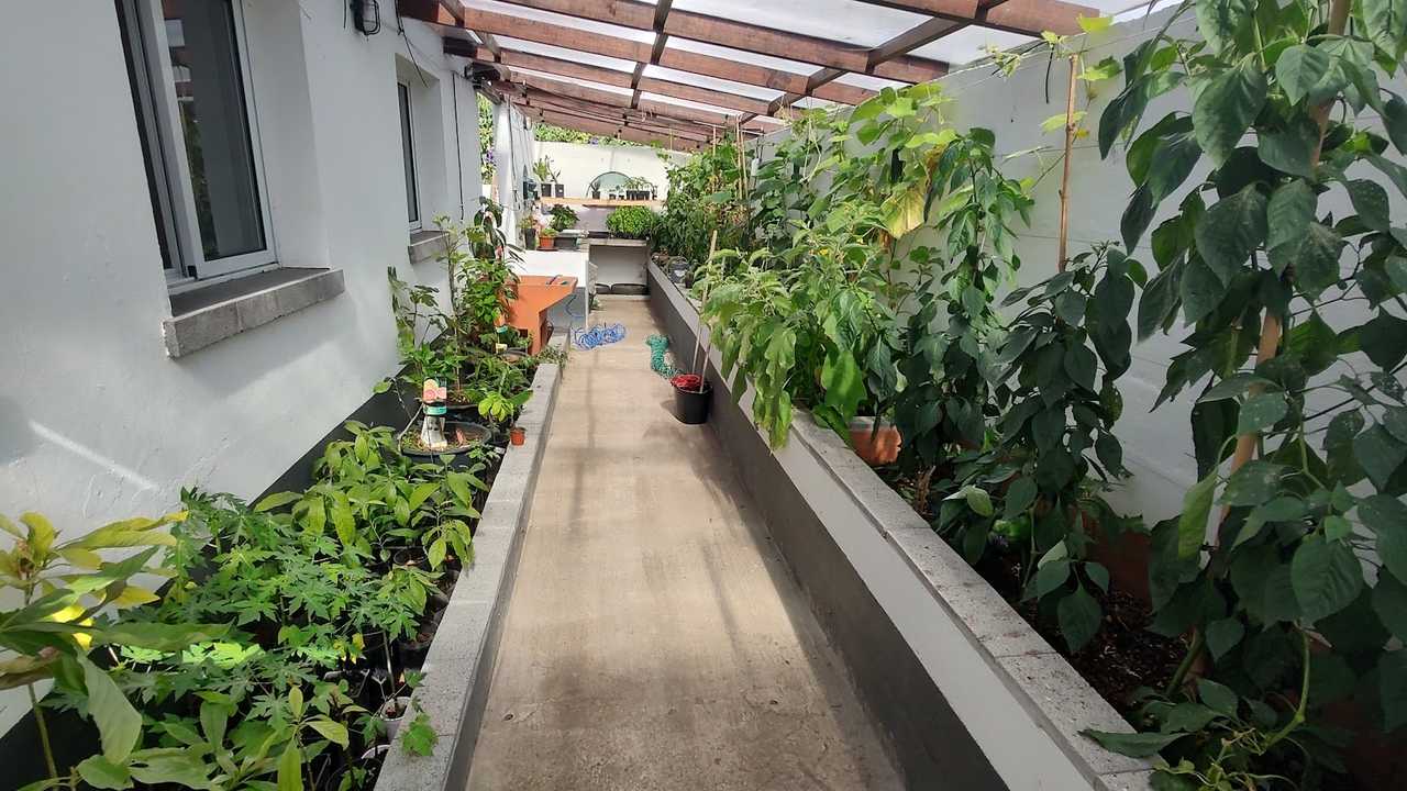 Private Room in a vegan guest house with cats