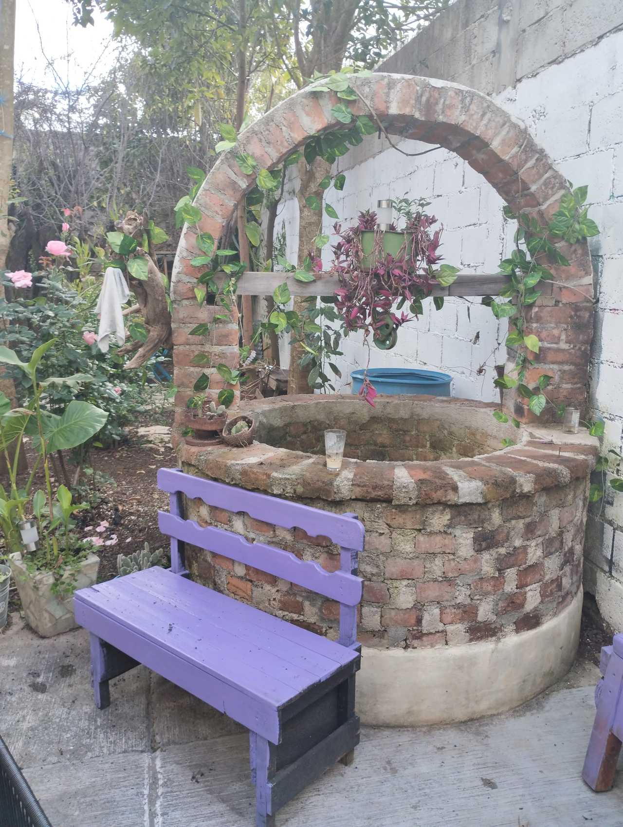 🌿 Worldbridger Sanctuary | Chakra Rooms, Vegetarian Living & Meditation