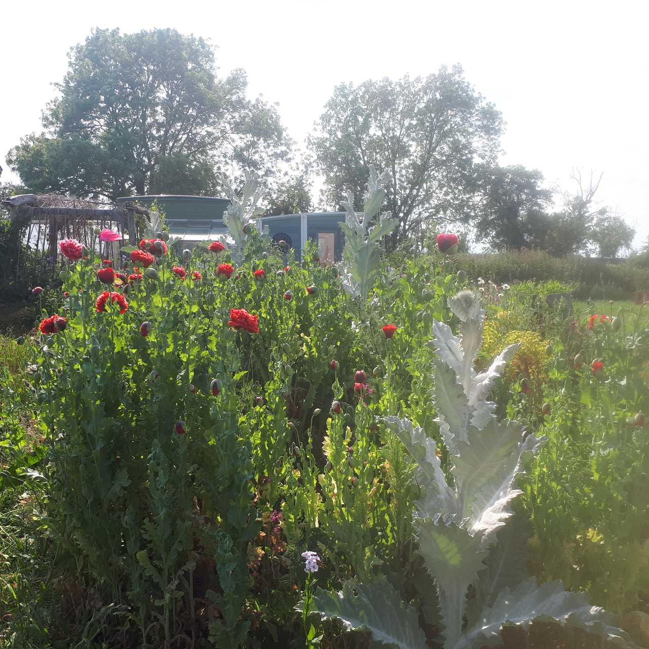 Off-grid Nature Retreat. Peaceful. Beautiful views (with Wi-Fi if you want!)