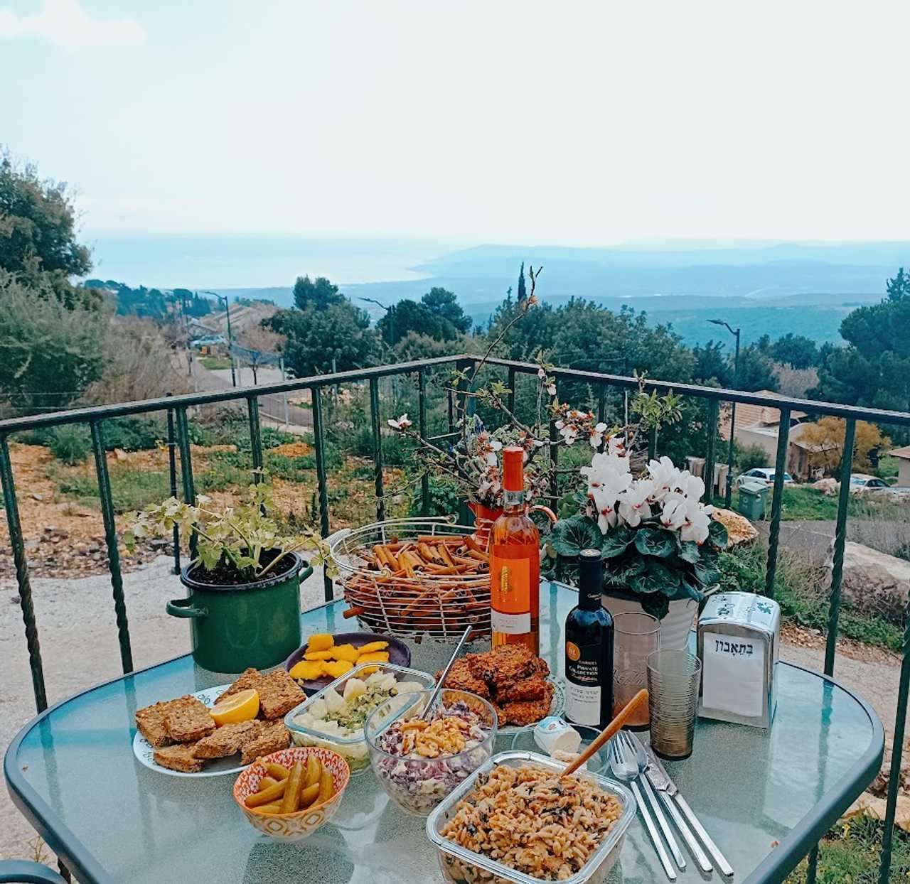 Vegan Haven with lake view