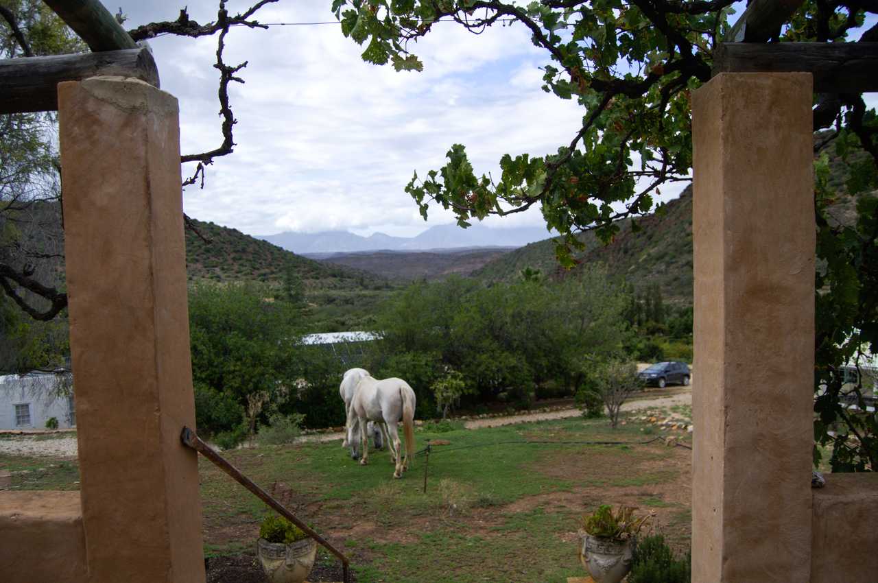 The Top House @ Ricky's Drift Vegan Farm and Animal Sanctuary