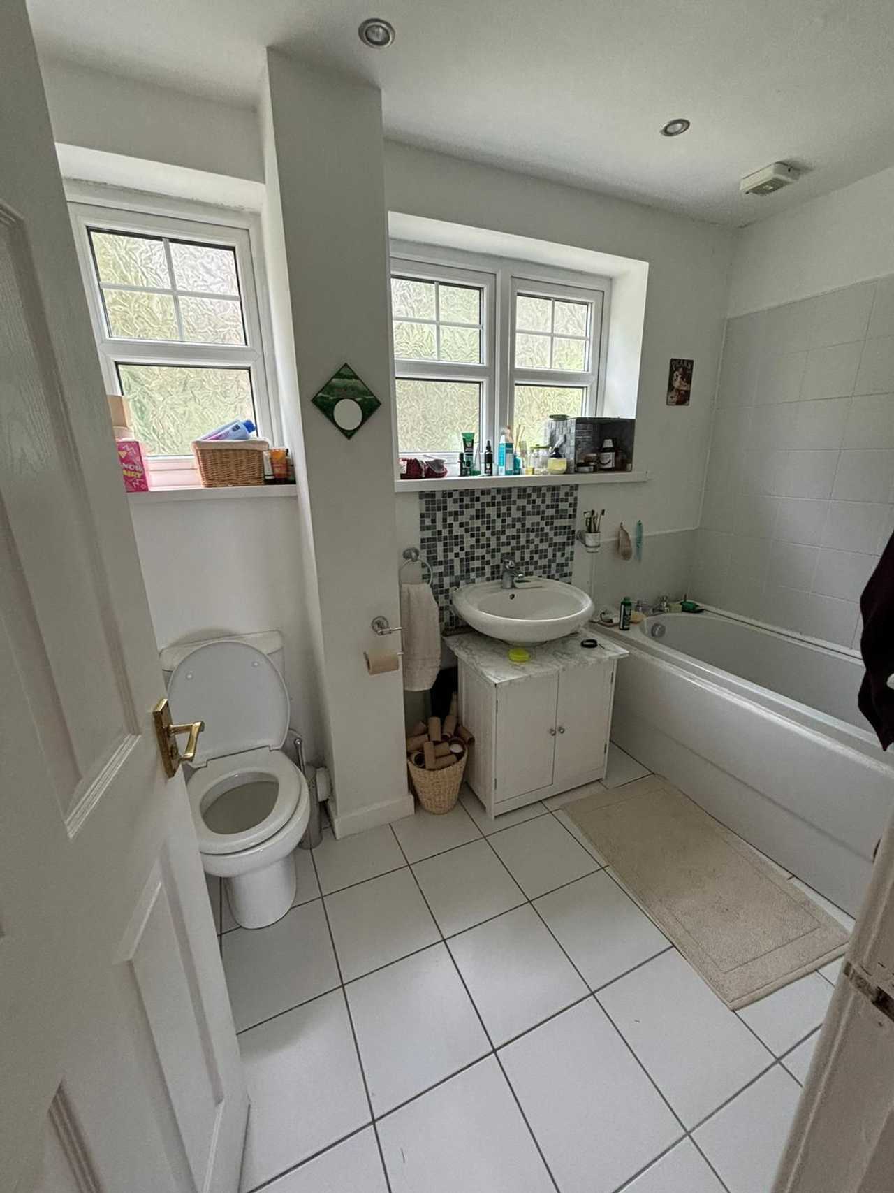 Spare room in a lovely plant-based household