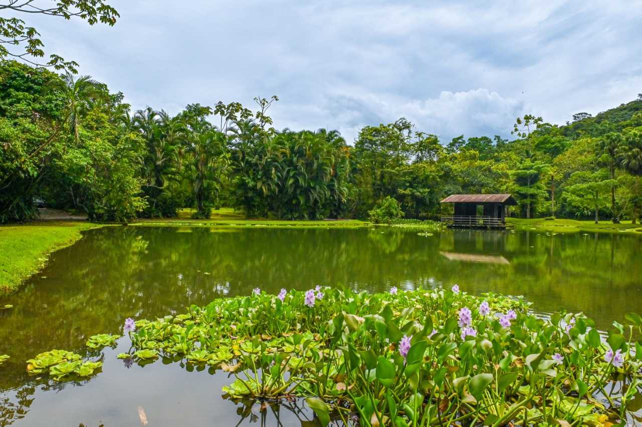 Lands in love hotel & forest resort 