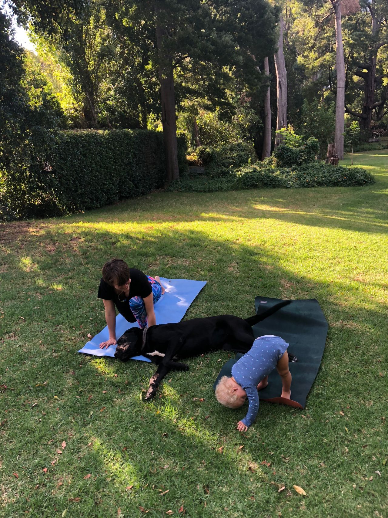 Beautiful log cabin in Hout Bay with massive garden, space for yoga, meditation