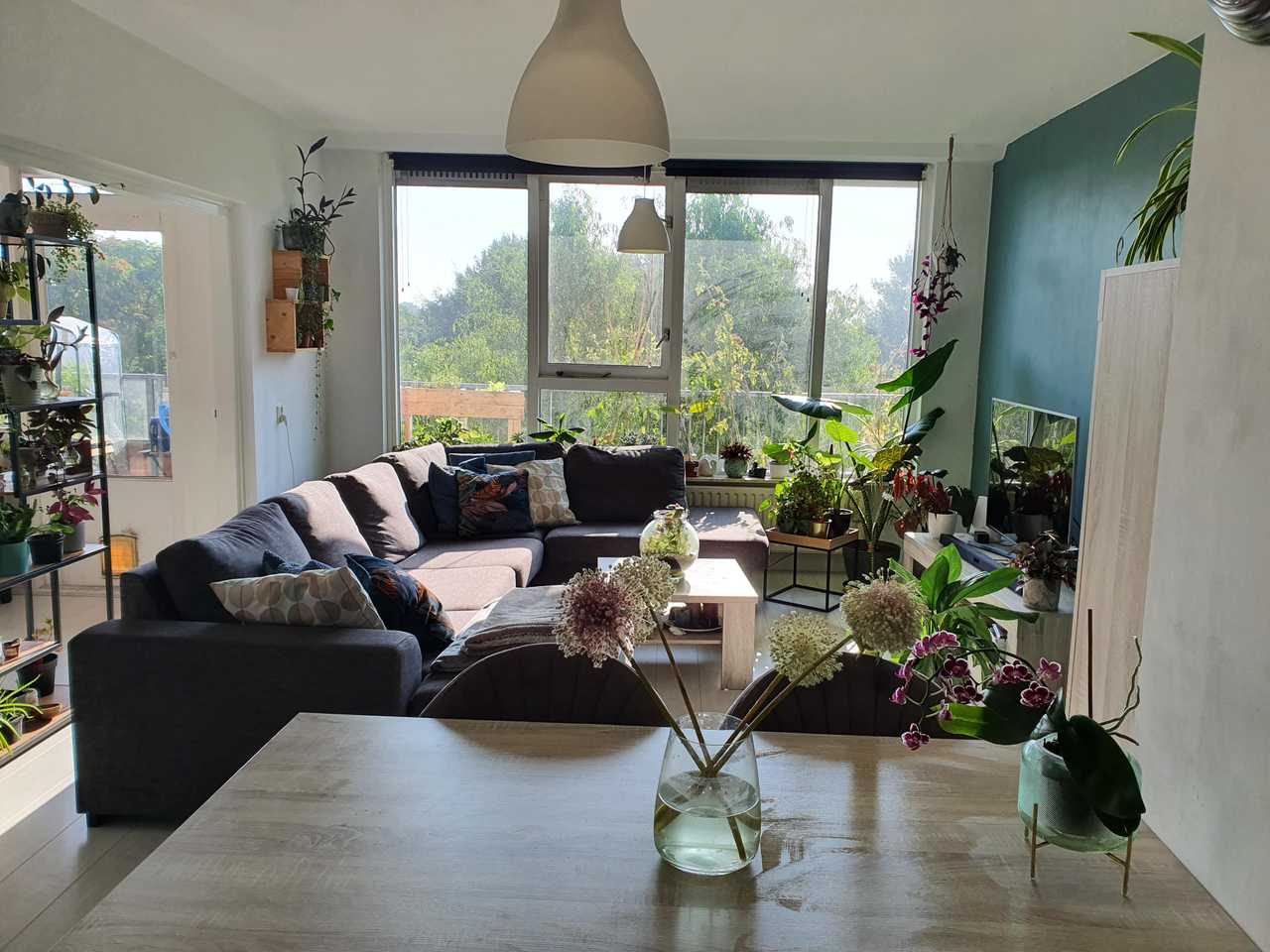 Beautiful vegan home in amsterdam
