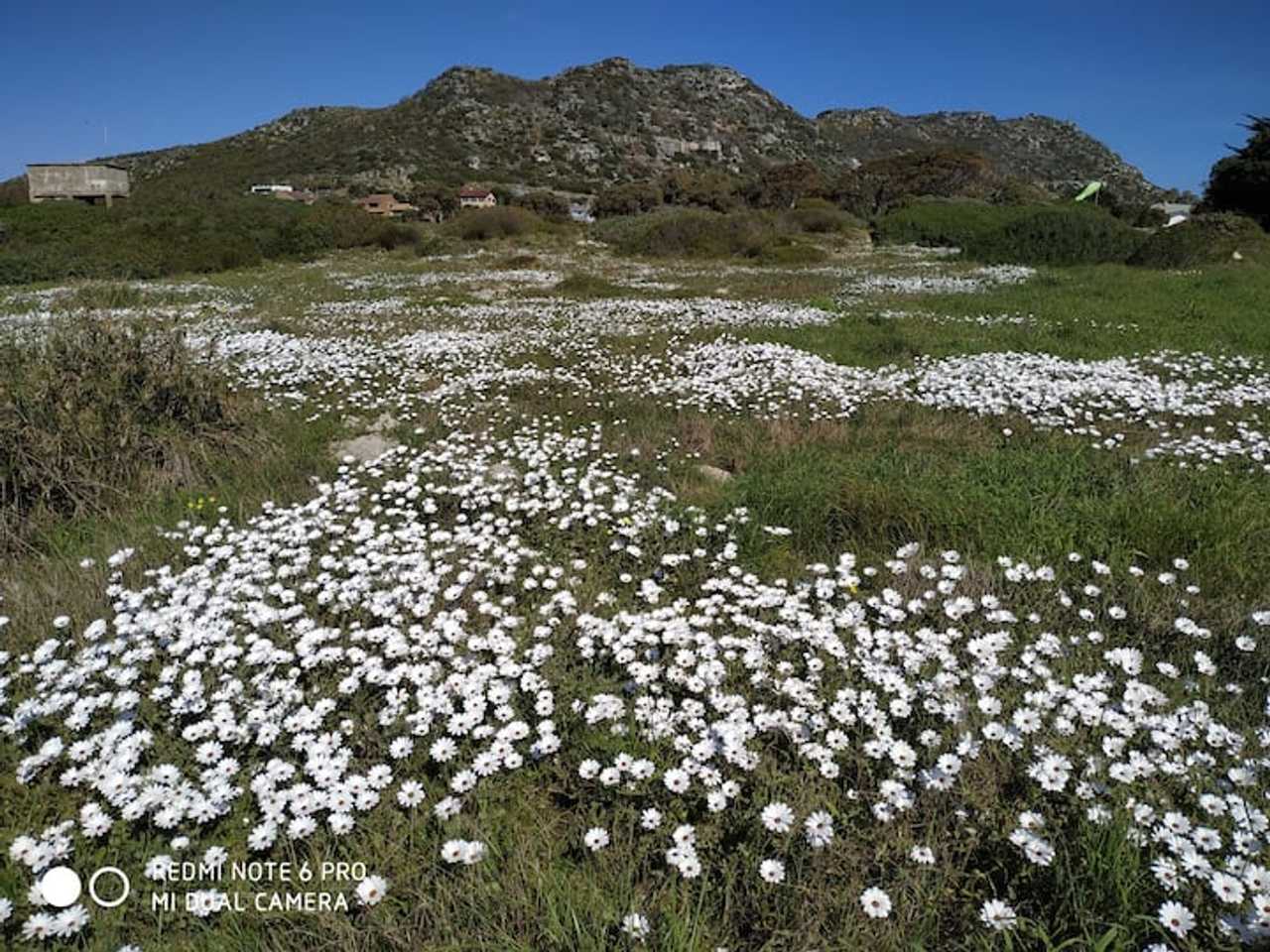 Magical, peaceful and good for the soul, Kommetjie