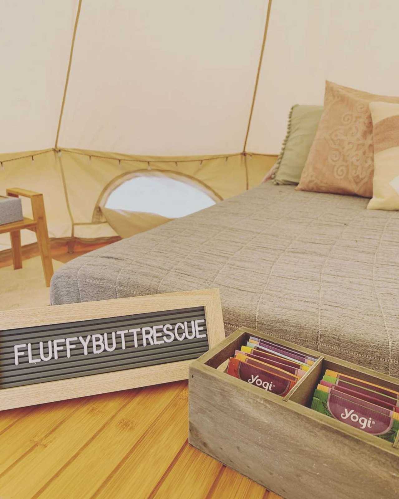 The Bell Tent at Fluffy Butt Rescue