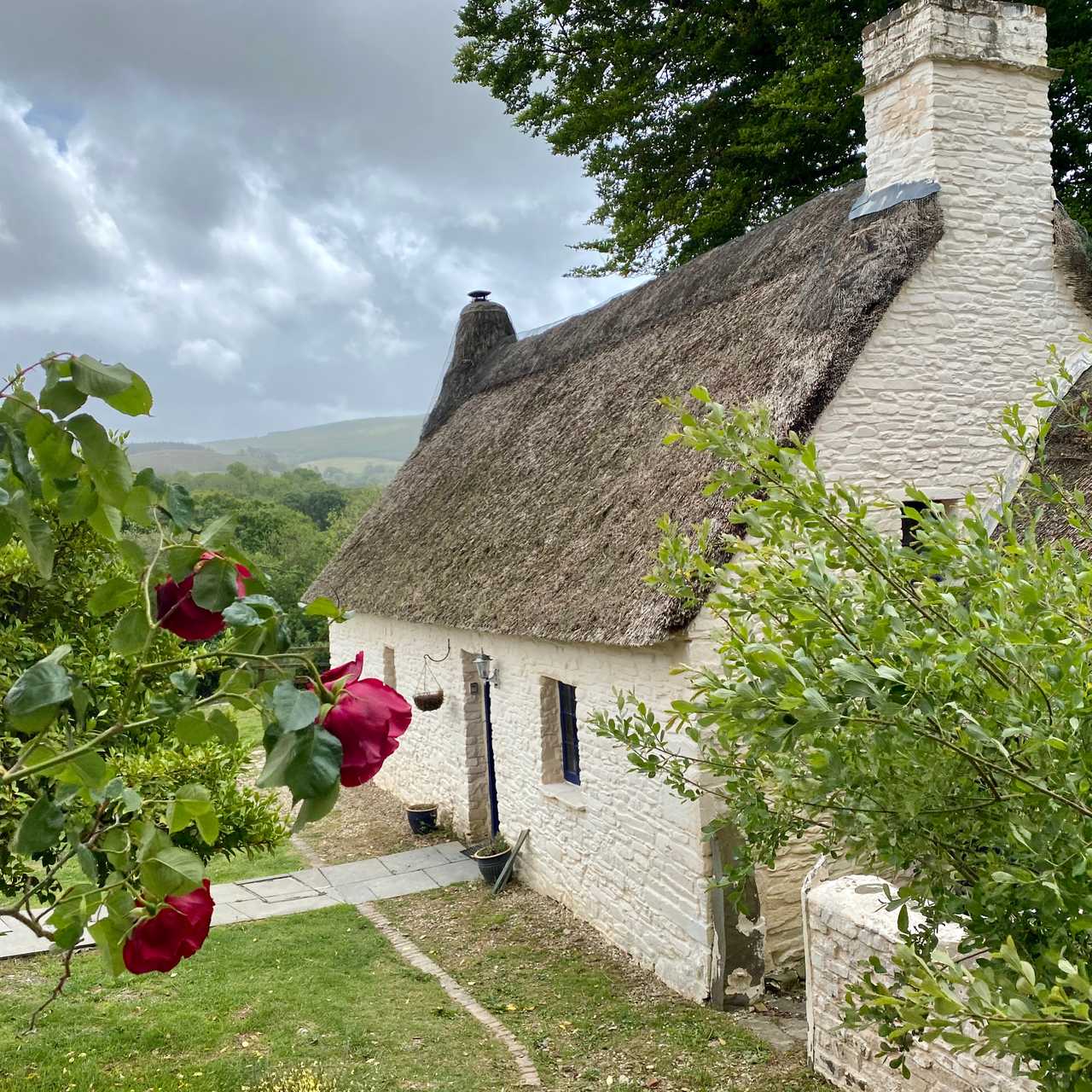 Magical 18th thatched cottage with stunning views, amazing vegan meals & hot tub