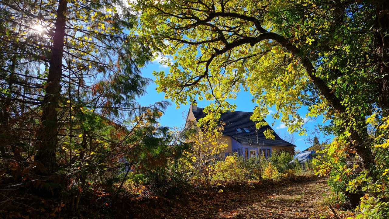 Peaceful place in the nature, vegan meals, yoga, soundhealing and massages