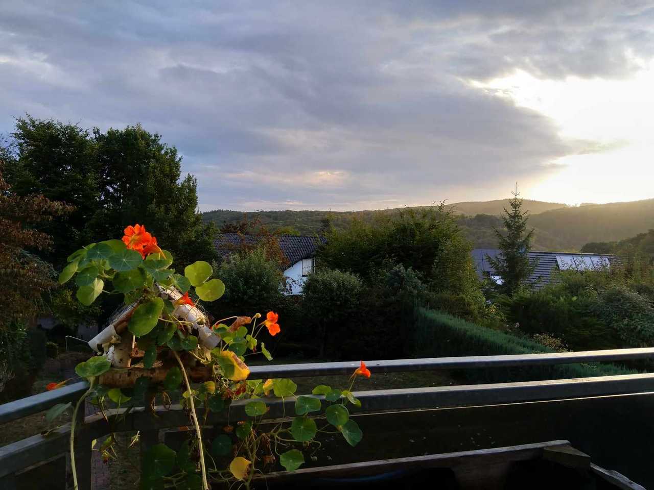 Peaceful Retreat in Nature with an Amazing View, quiet and Sun-filled Apartment