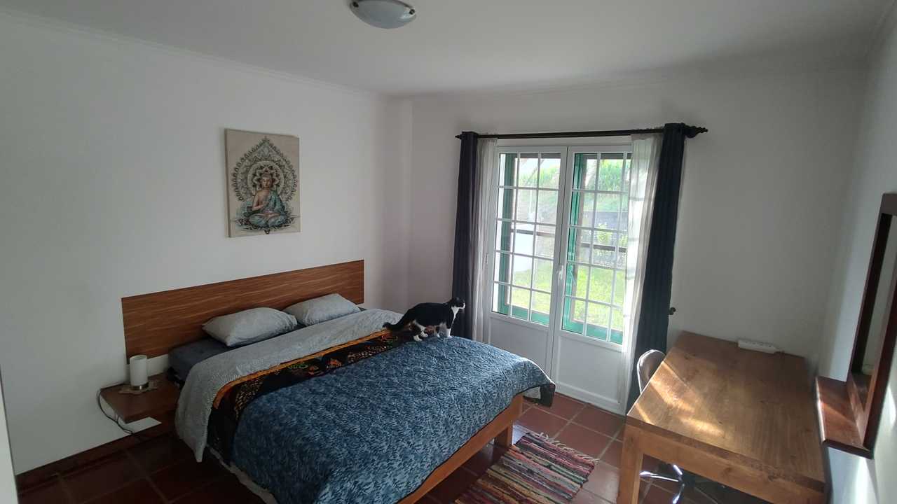 Vegan-Home with cats on the stunning island São Miguel