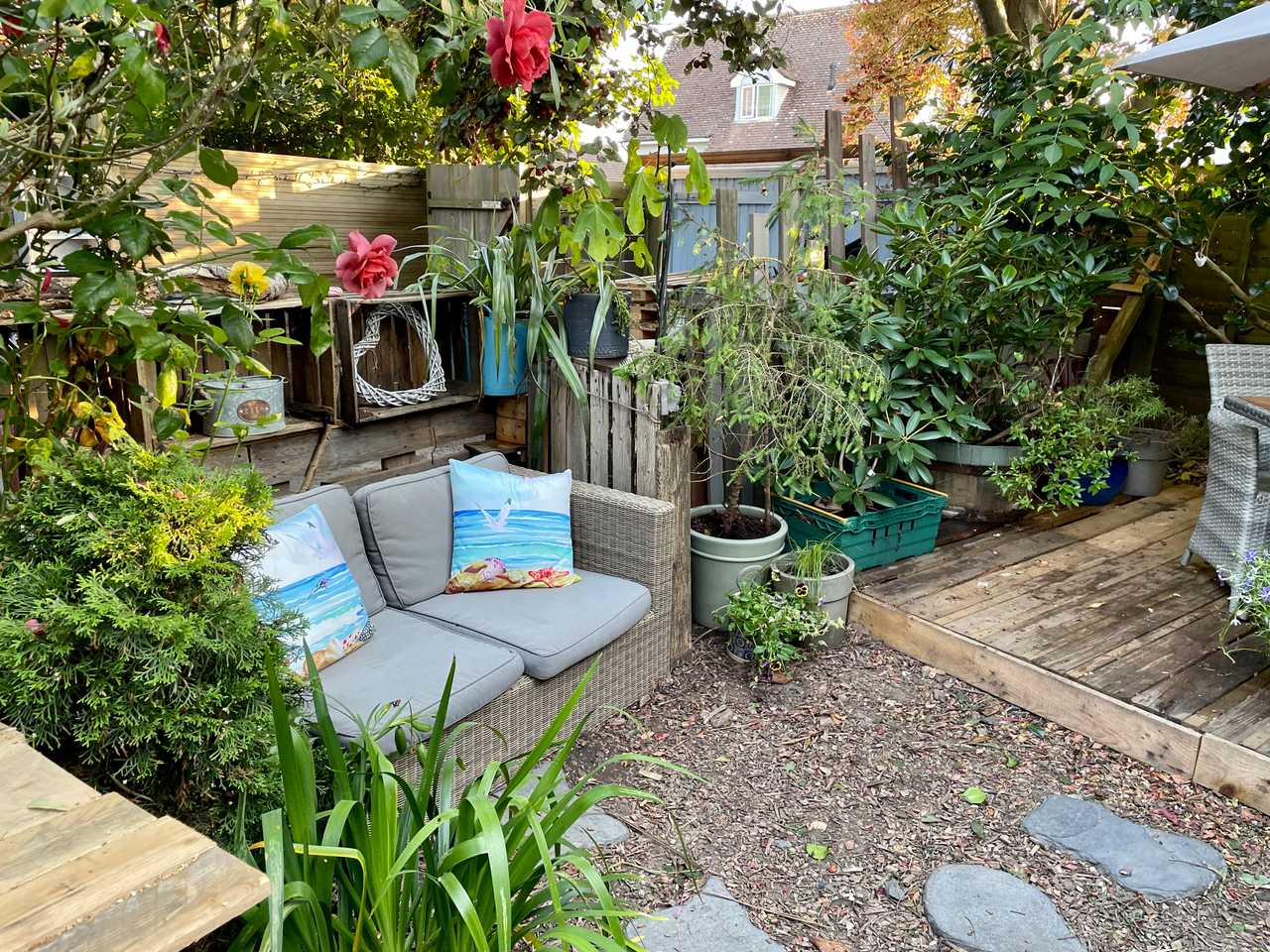 The Vegan Coastal Cabin
