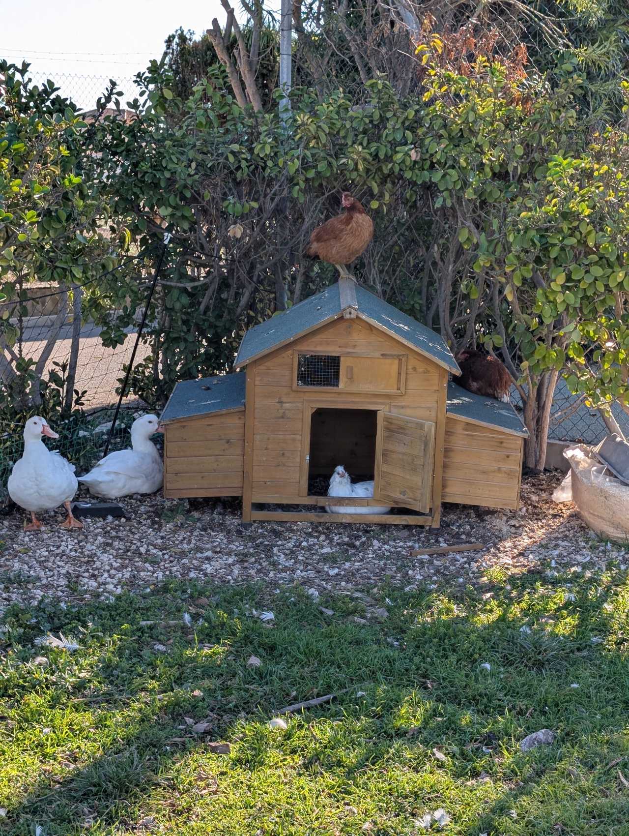 Healthy and Peaceful Stay in our grounds