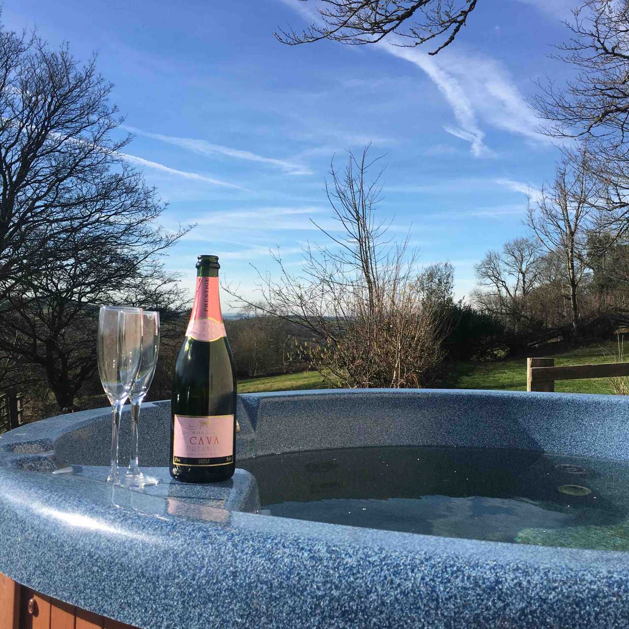 Magical 18th thatched cottage with stunning views, amazing vegan meals & hot tub