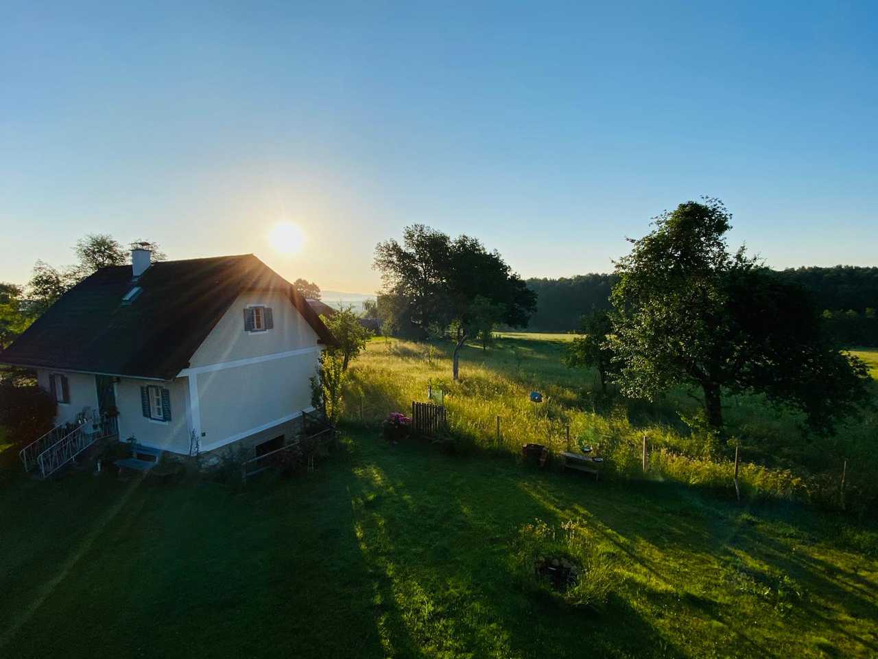 Varm - the vegan farm - a kind of sanctuary for animals and humans