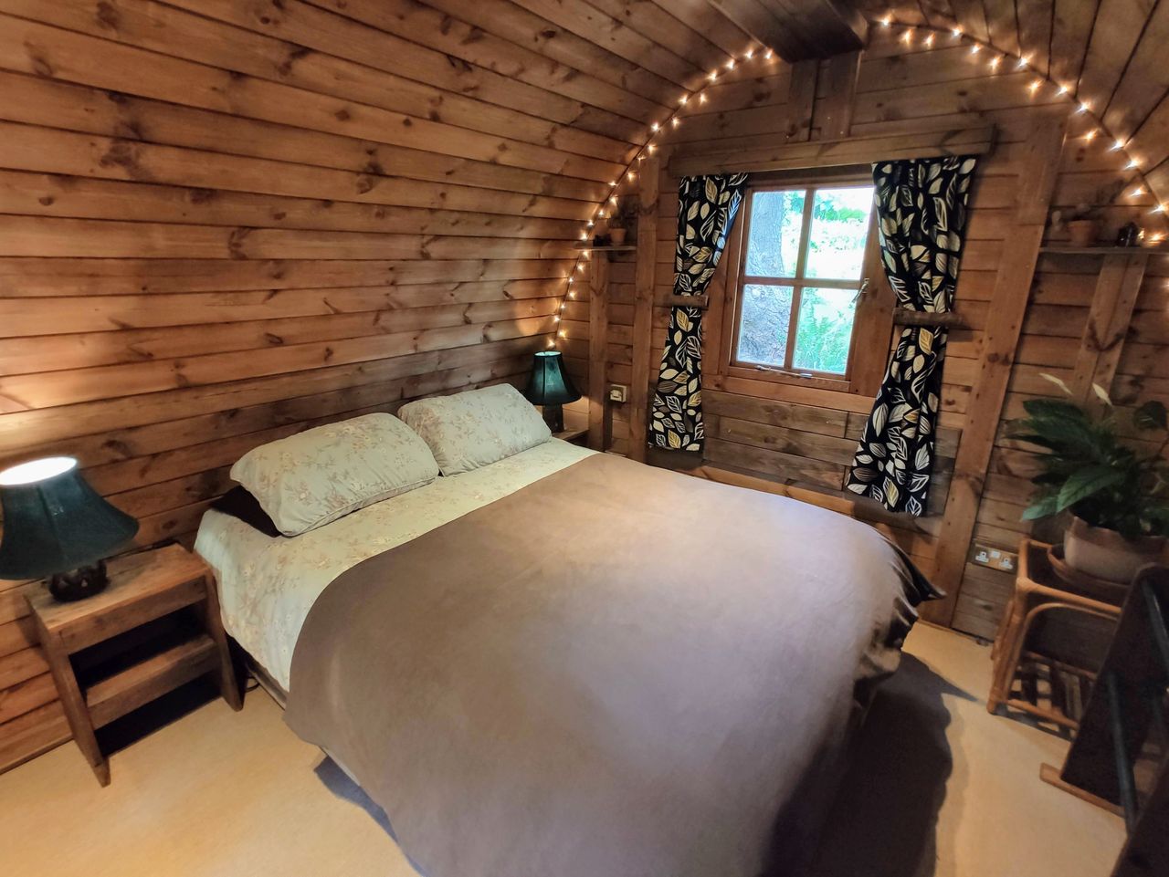 'Wollemia' The Peaceful Pod