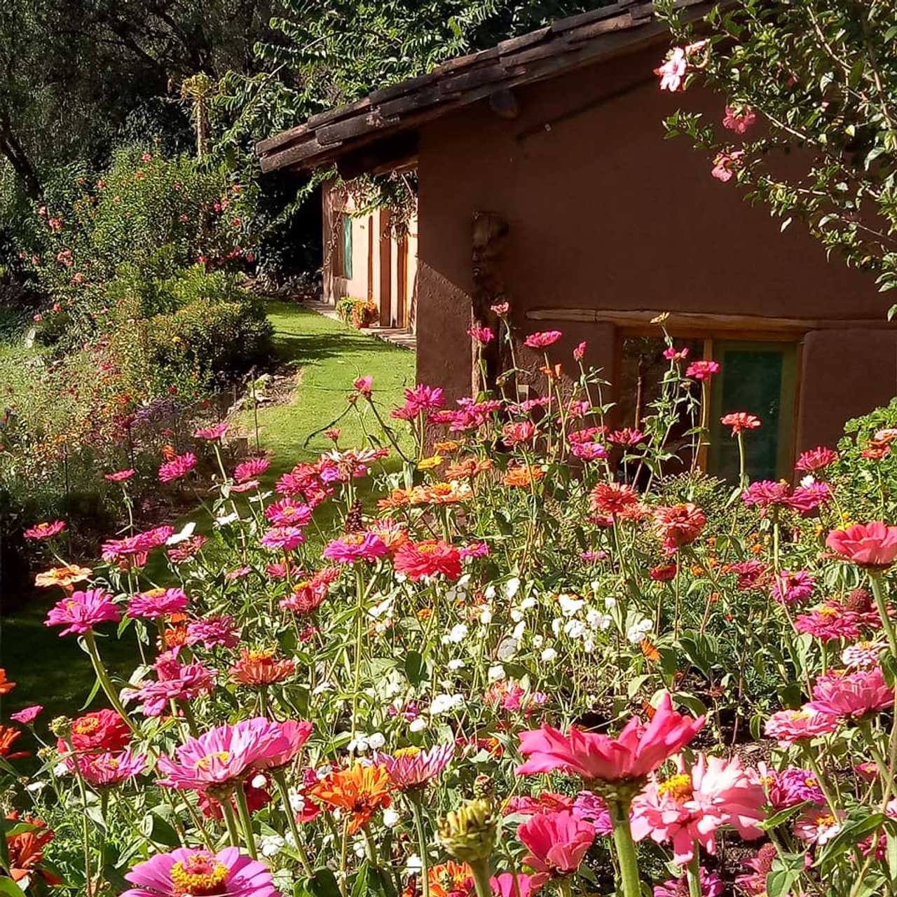 Cozy Bungalow surrounded by Nature in Limatambo near Cusco, Peru