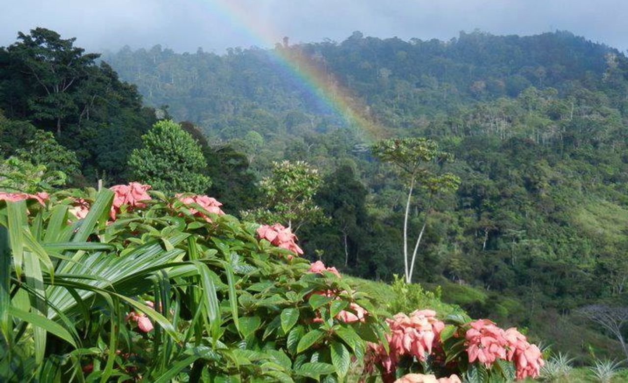 Affordable Vacation for the Healthy Lifestyle & Natural Healing Center