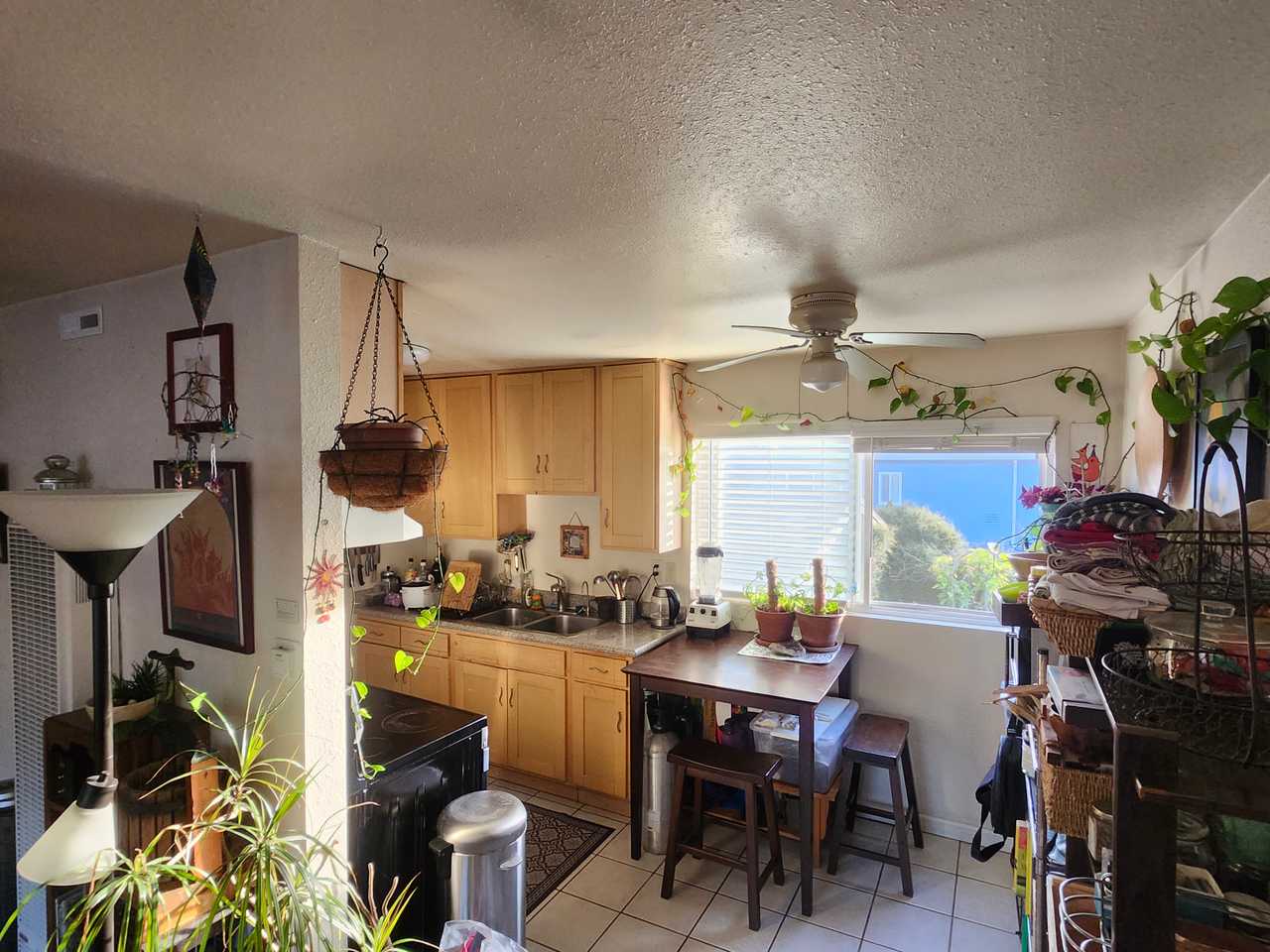 Private Vegan Sunny Oasis in Berkeley