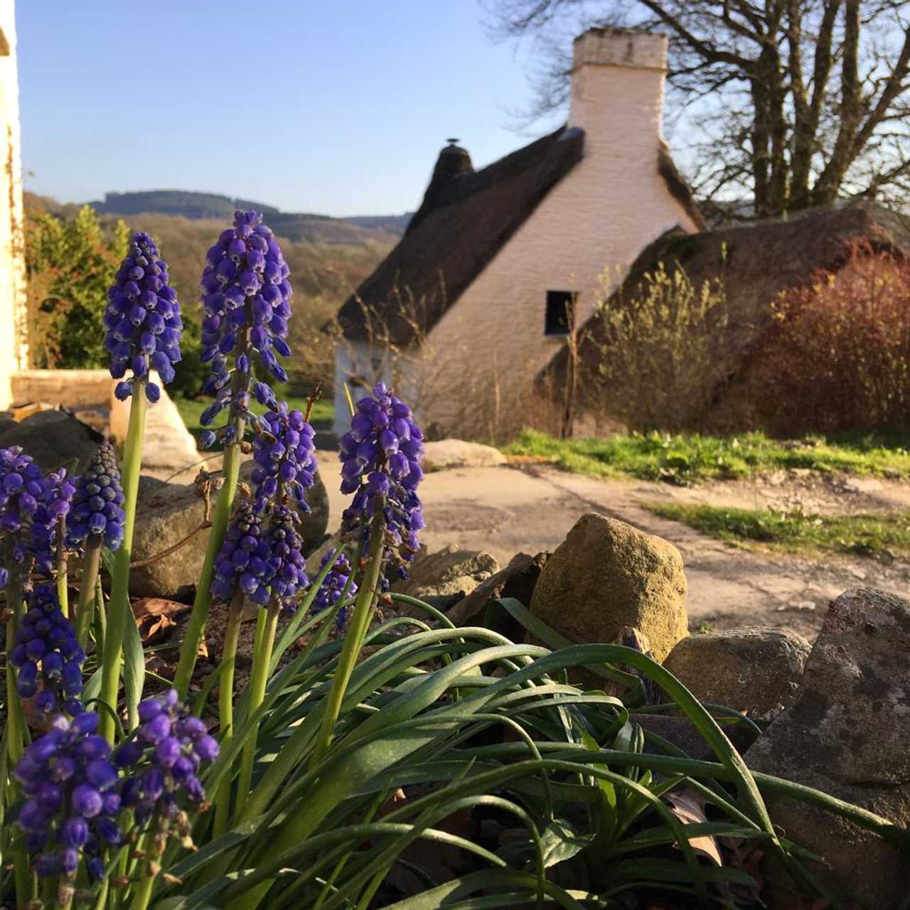 Magical 18th thatched cottage with stunning views, amazing vegan meals & hot tub