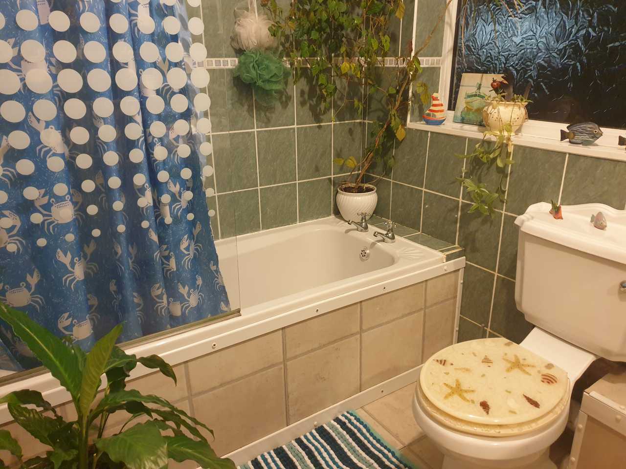 Cosy room close to town ,beaches and gannel estuary,boating lake and gardens