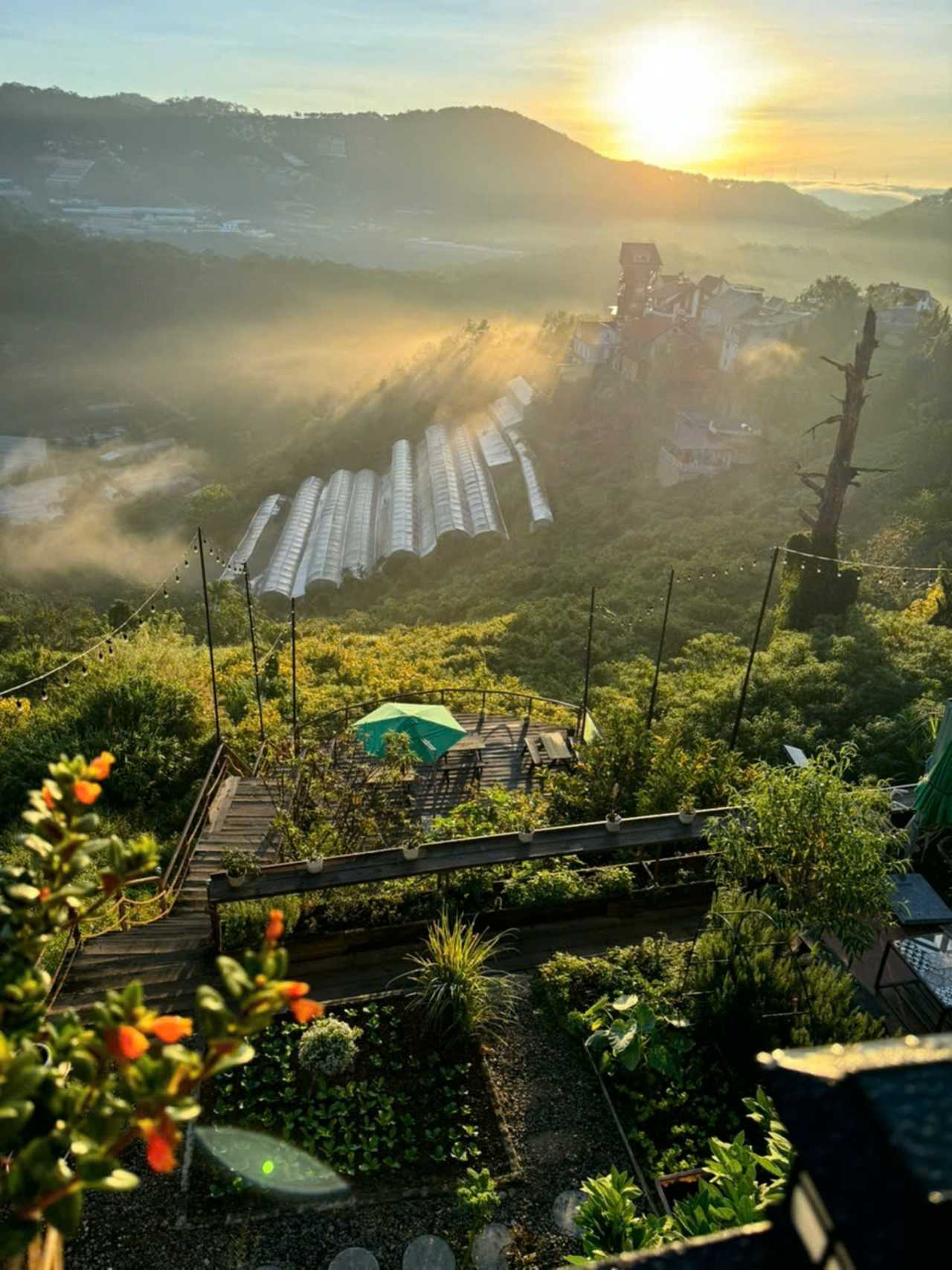 Cozy Villa with Moutain View - Vegan Homestay