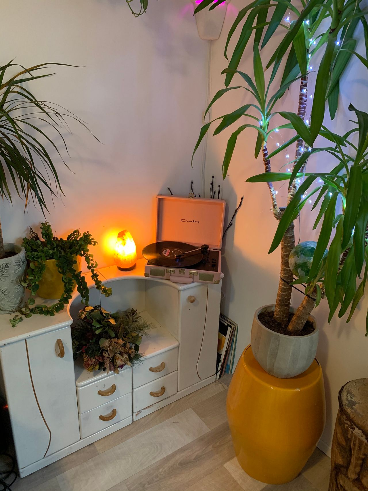 Amsterdam Jungle Apartment