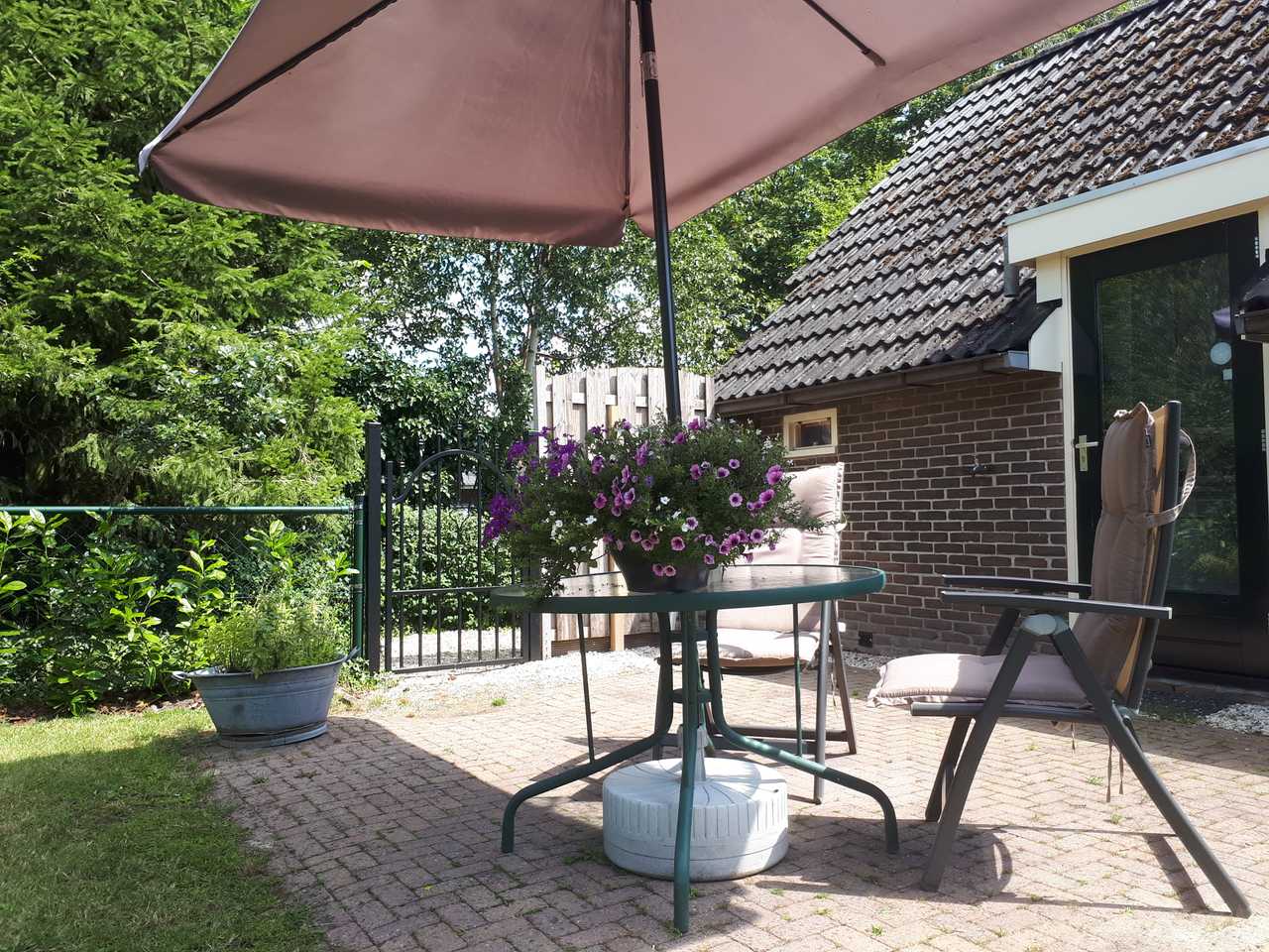 Lovely dog friendly cottage, in forest surrounding for wonderful walks & swims