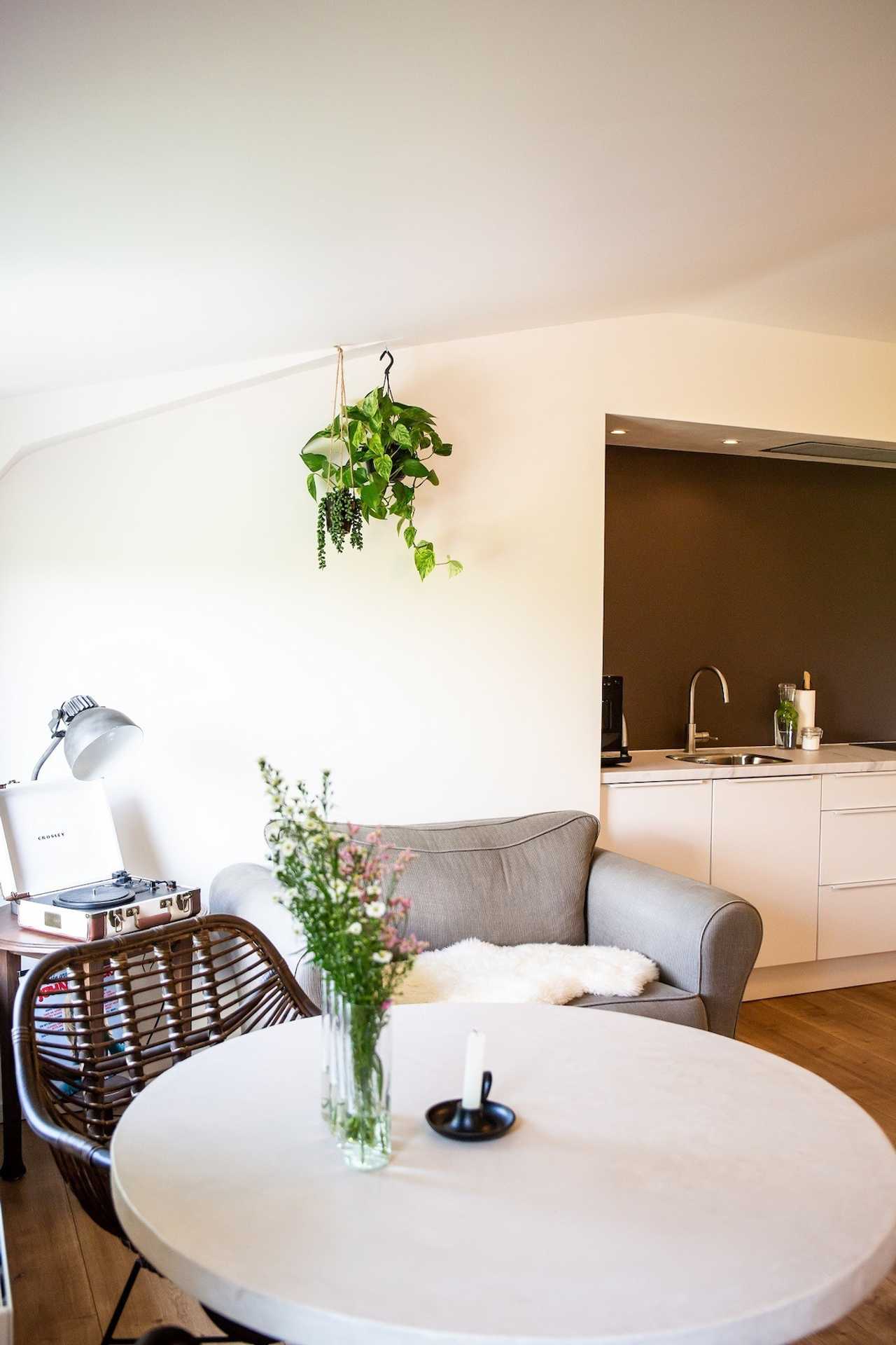 Modern apartments in old farmhouse, Frisian lake district